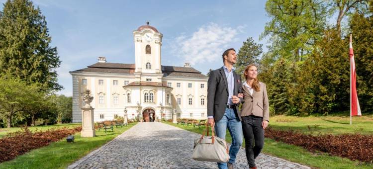 罗西瑙城堡高级酒店(Schlosshotel Rosenau Superior)图片