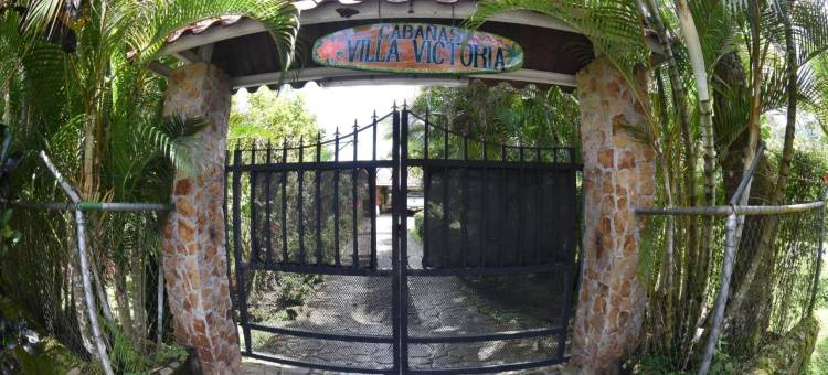 维拉维多利亚山林小屋(Cabaña Villa Victoria)图片