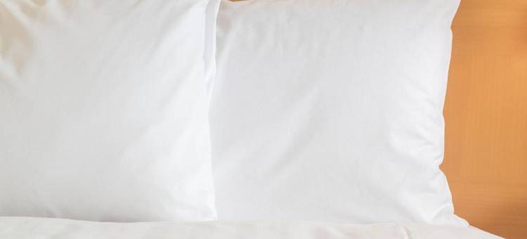Holiday Inn & Suites 格林贝球场(Holiday Inn & Suites Green Bay Stadium)图片