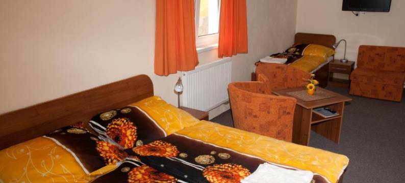 麦客斯旅馆(Penzión Max)图片