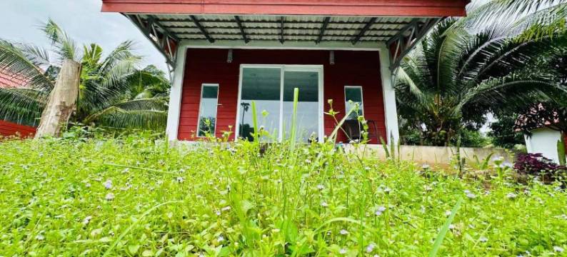 Romny Cozy Bay Resort图片