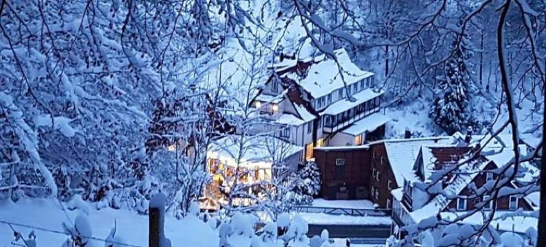 幸运酒店(Hotel "Glück Auf ")图片