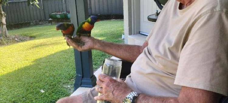 萨拉曼德湾住宿加早餐旅馆(Salamander Bay Bed and Breakfast)图片