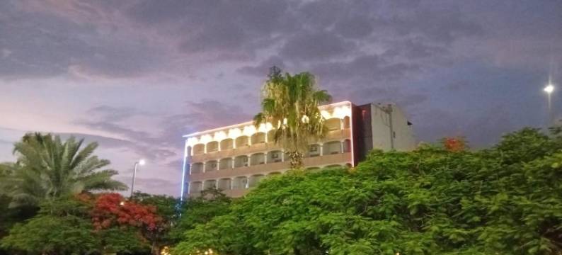 尼鲁菲尔阿尔哈达酒店(Nilufer AlHada Hotel)图片