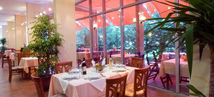 伊凡纳宫殿酒店(Ivana Palace Hotel - Free Parking)图片