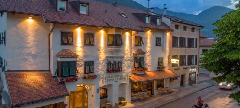 黄金莱斯酒店(Hotel Goldenes Roessl-Adults Only)图片