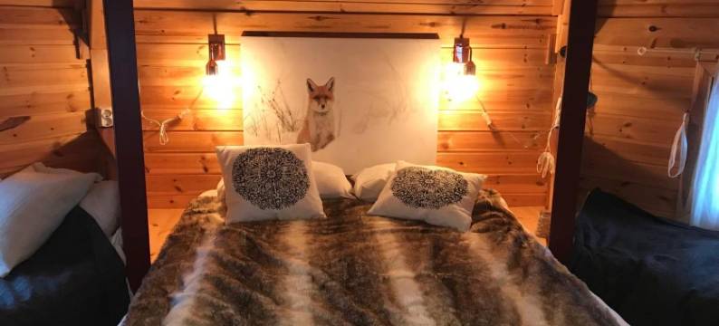 韦斯特瓦坦 - 极地小屋酒店(Vestvatn - Arctic Cabins)图片