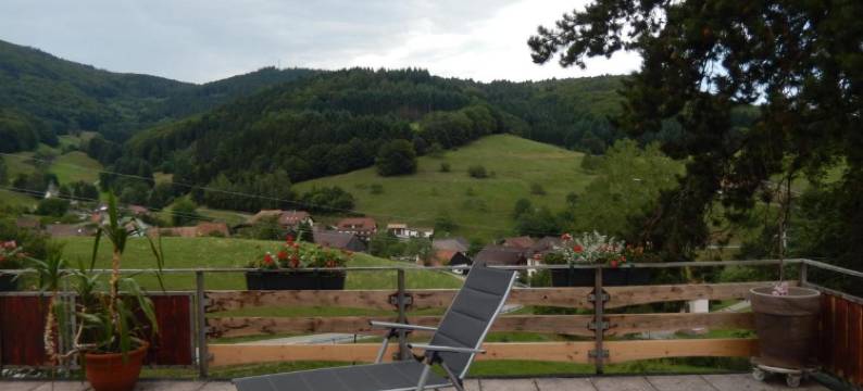 酒店 - Landgasthof Zum Pflug(Hotel Landgasthof Zum Pflug)图片