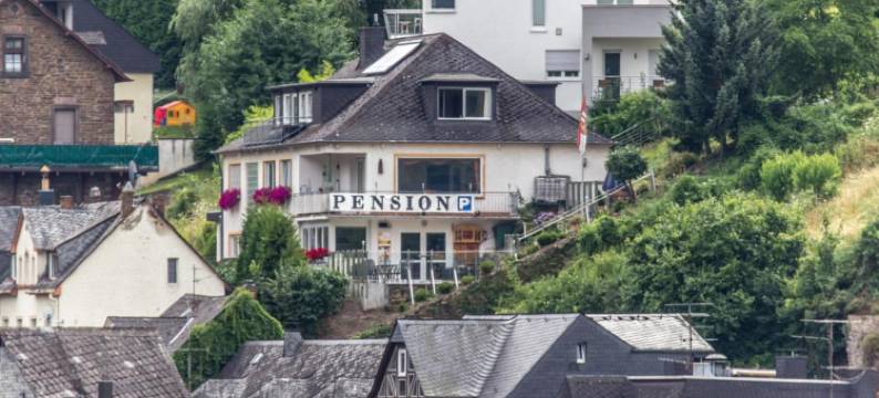 特门欧辰威勒旅馆(Hotel Villa Tummelchen)图片