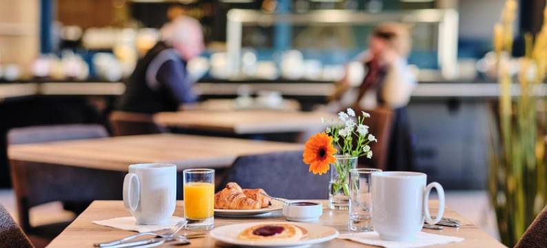 罗吉斯阿罗耶旅馆(Logis Hôtel Restaurant Aloe)图片