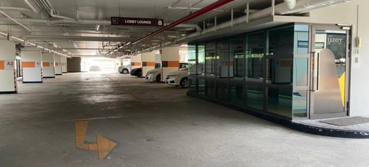 Teddy@Thammasart图片