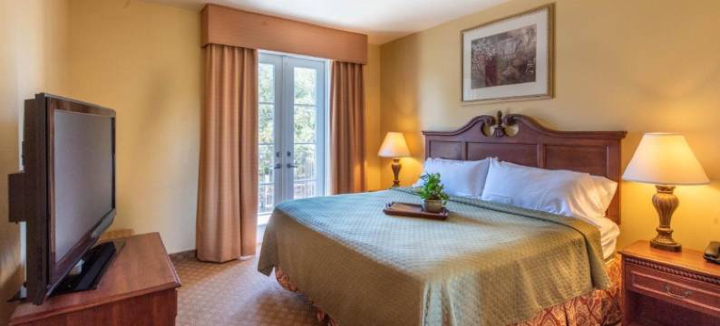 纳奇兹大酒店(Natchez Grand Hotel on the River)图片