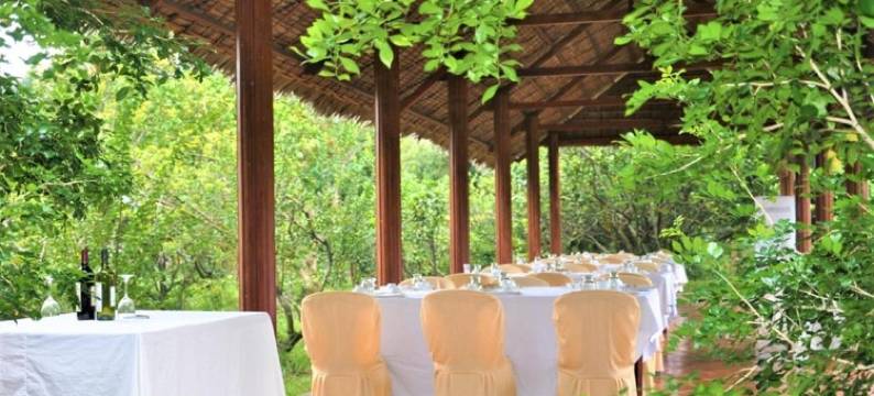 巴杜古宅民宿(Ba Duc Ancient House)图片