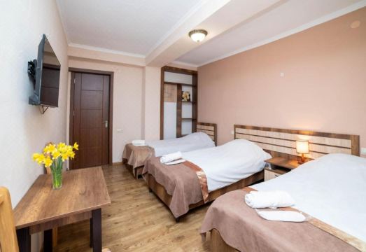 Guest House Kavkasioni 33 Hotel Overview