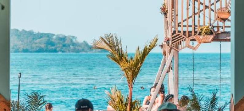 竹舞者博卡斯城 - 旅馆(Bambuda Bocas Town)图片