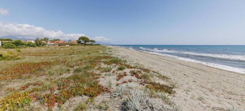 奥罗比安库(Oro Biancu)图片