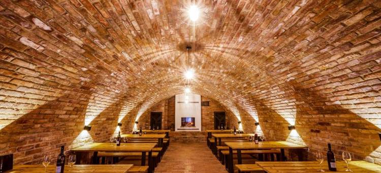 雷兹令克酒店(Hotel Ryzlink)图片