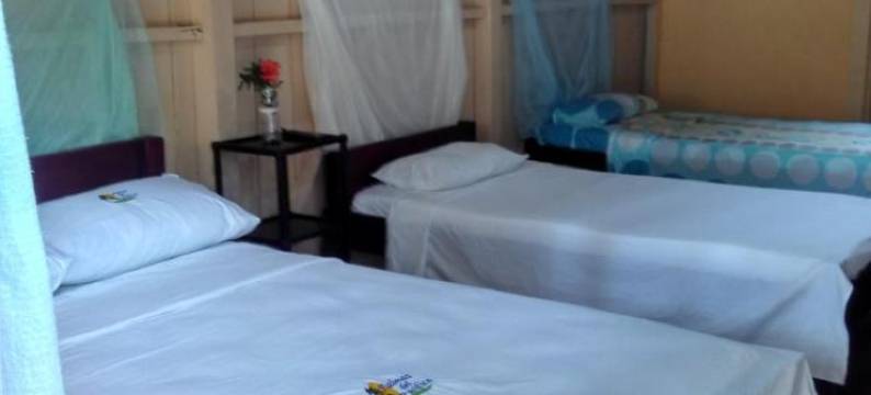 Hotel Palmas del Pacifico图片