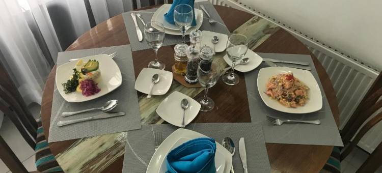 阿颜森奥斯特拉尔酒店(Hotel Aysen Austral)图片