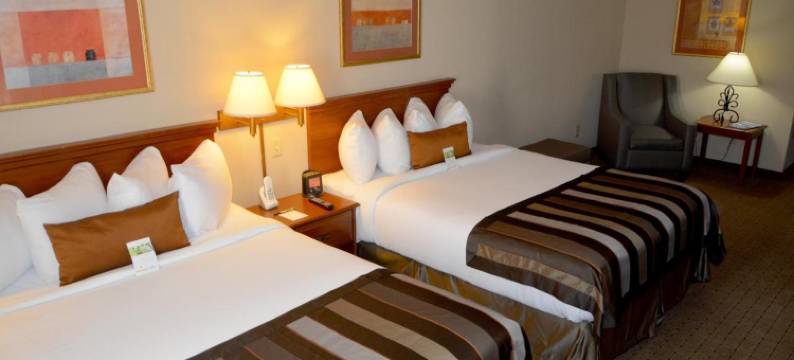 西门罗蔚景温德姆酒店(Wingate by Wyndham West Monroe)图片