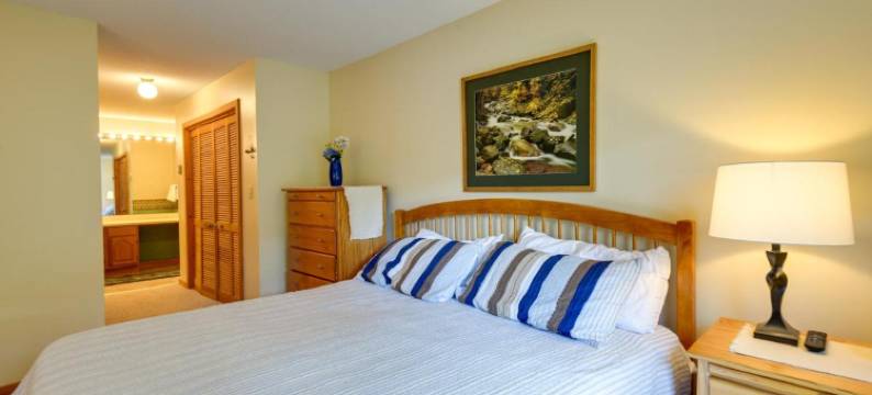 设施齐全的林肯住所：滑雪、游泳+钓鱼!(Well-Appointed Lincoln Abode Ski, Swim and Fish!)图片