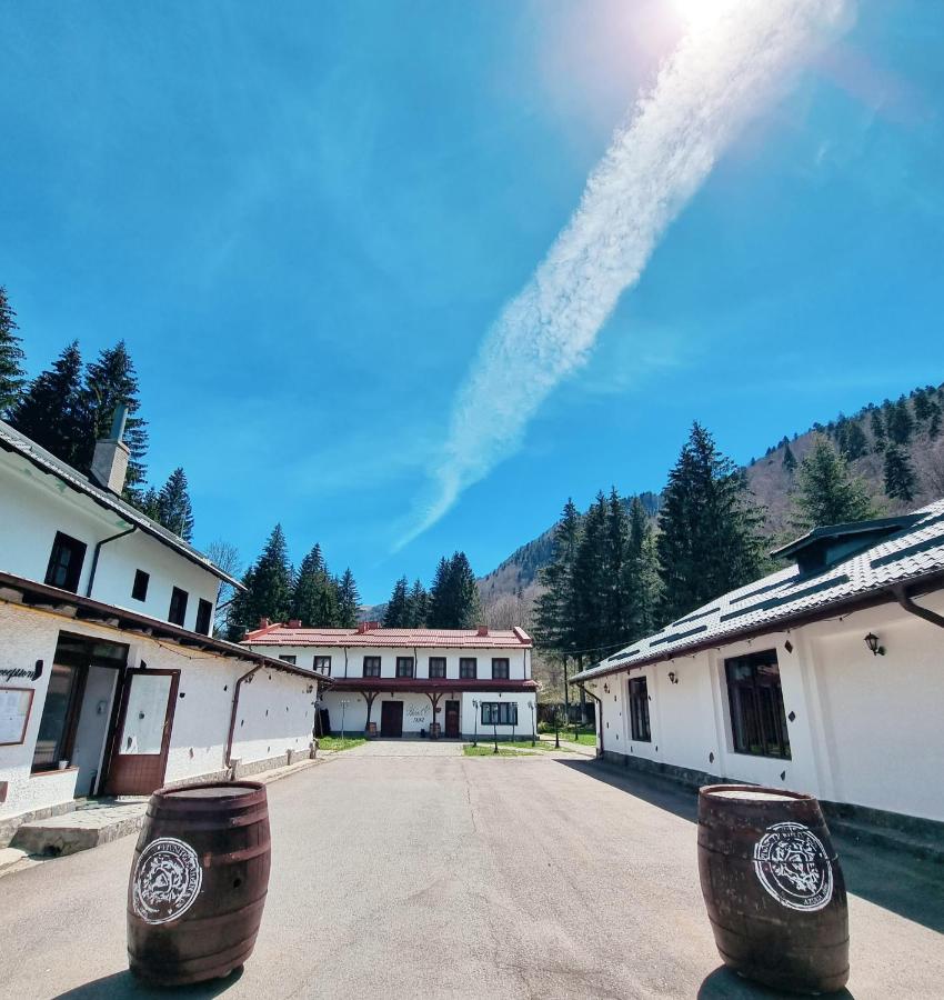 Pensiunea RheinOver view