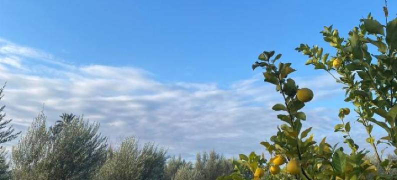 Gite & Camping Route Ouarzazate图片