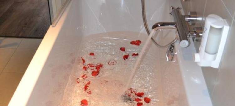 费吕沃森林弗莱切酒店(Fletcher Hotel Het Veluwse BOS)图片