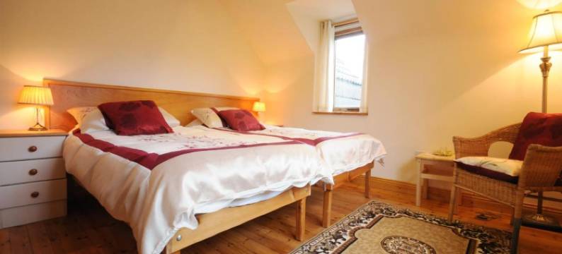 丹湖楼住宿加早餐旅馆(Lough Dan House)图片