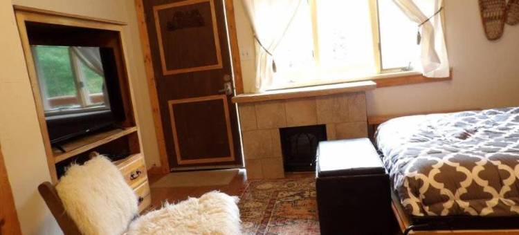 Snow Bear Aspen 1图片