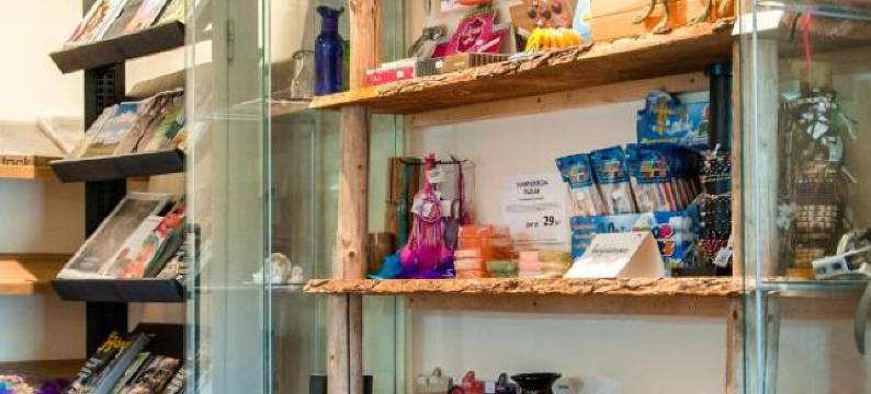 索威迪冒险露营酒店(Äventyrscampen)图片