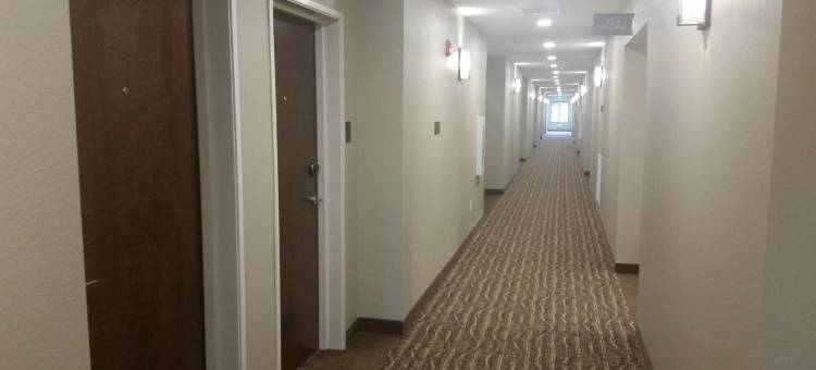 白宫舒适酒店(Comfort Inn White House)图片