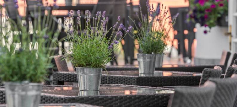 霍岑酒店-餐厅-咖啡厅-酒吧(Horchem Hotel-Restaurant-Café-Bar)图片