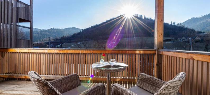 Genuss-Pension Herti图片