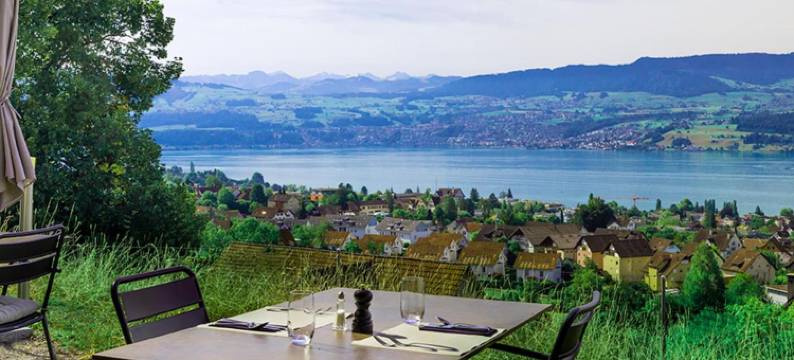 博登酒店(Hotel Boldern)图片