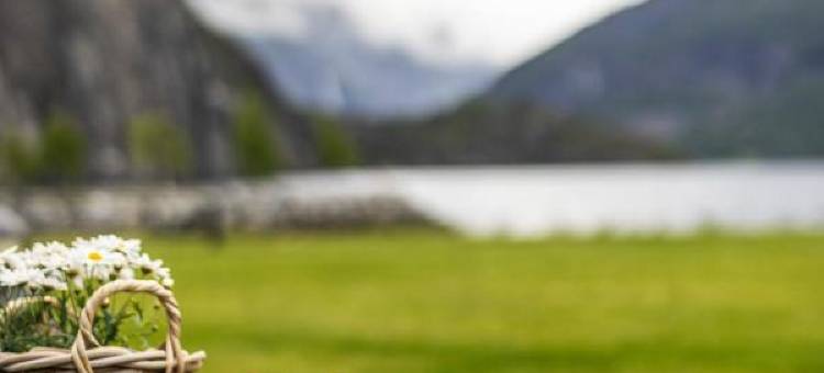 瓦尔河谷峡湾酒店 - 经典挪威酒店(Valldal Fjordhotell - by Classic Norway Hotels)图片