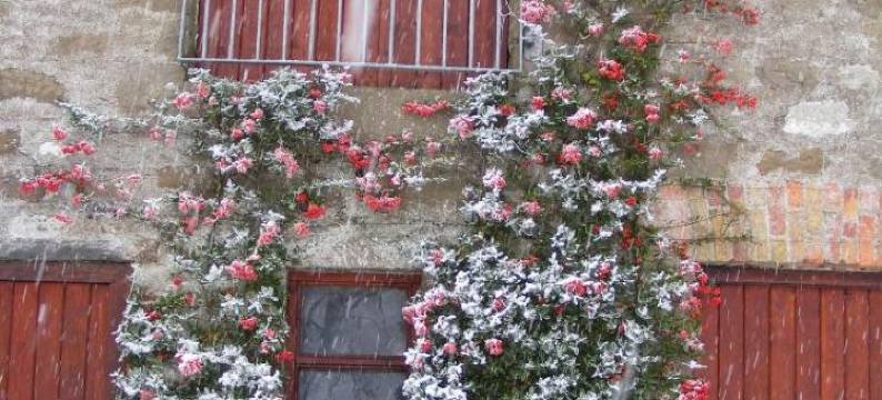 Ballyhargan Farm House图片