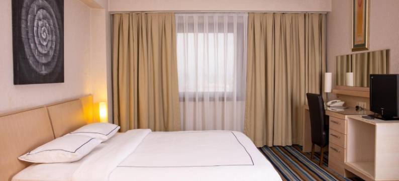 安尼蒙酒店-埃斯基谢希尔(Anemon Grand Eskişehir Otel)图片