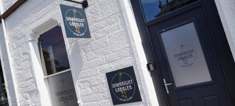 唐赖特加布勒(Downright Gabbler)图片