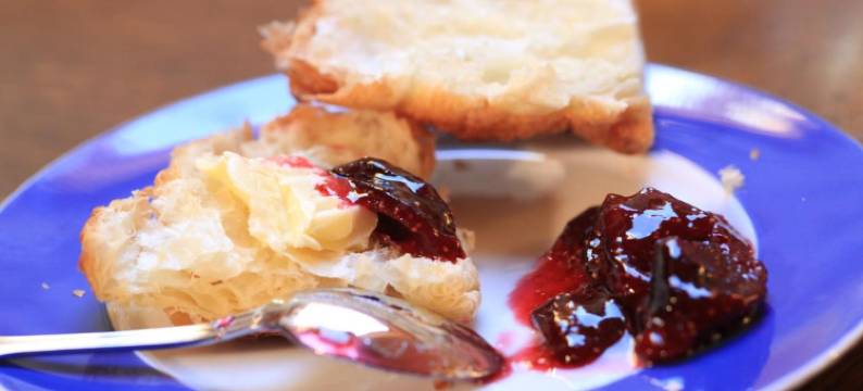 乐克洛斯德拉嘉德酒店(Le Clos de la Garde)图片