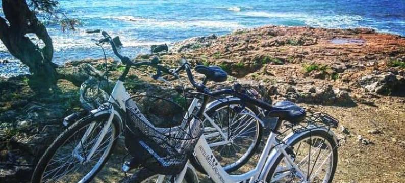 阿理斯顿酒店(Hotel Ariston)图片