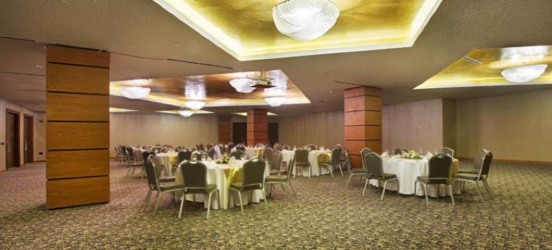 埃尔比勒市中心德德曼酒店(Dedeman Erbil Hotel City Center)图片