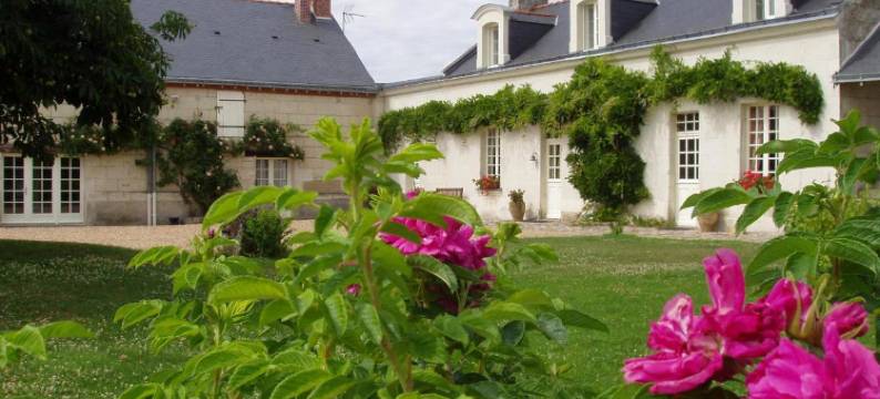 拉贾里莱斯旅馆(La Jarillais)图片