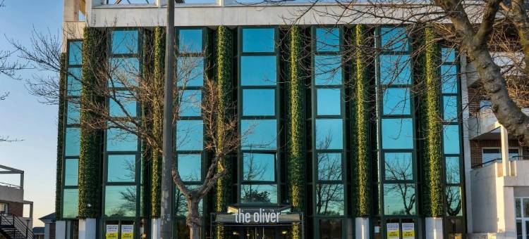 Oliver 阿帕塔门托斯波斯埃洛(The Oliver Apartments)图片