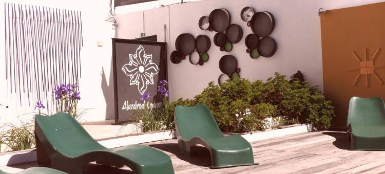 阿兰多尔旅馆 - 太阳魅力(Alandroal Guest House, Hotel)图片