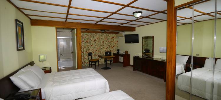 图尔农别墅酒店(Hotel Villa Tournon)图片