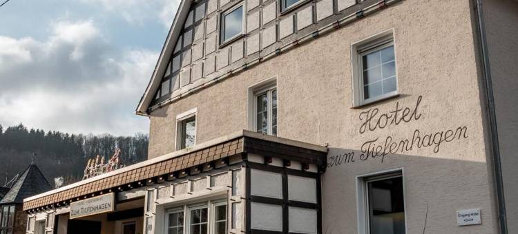 蒂芬哈根萨尔兰酒店(Hotel Tiefenhagen Sauerland)图片