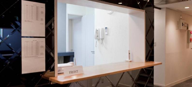 新大久保国际酒店(The Shin-Okubo International Hotel)图片