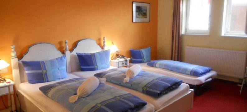 赫希跨国酒店(Hotel Hirsch)图片