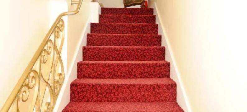 旅行酒店(Hotel la Tour)图片